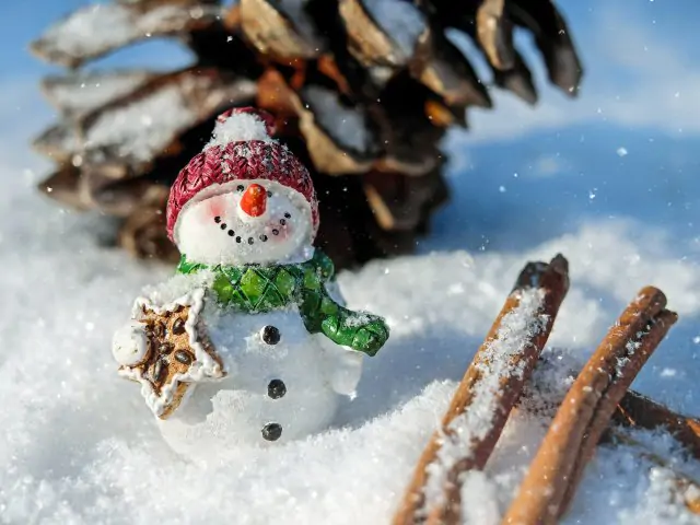 Vánoční tvoření s výstavou - 0 - snowman-1882635.jpg