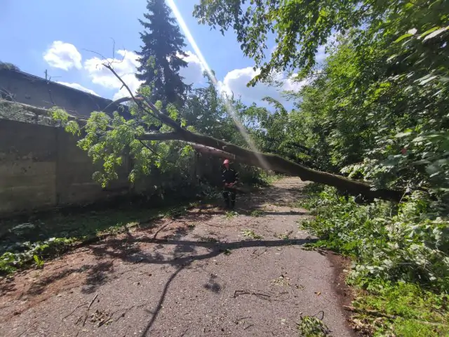 Poděkování hasičům SDH Doubrava za zásah po ničivé bouřce v Českém Těšíně - 0 - IMG-20240623-WA0008.jpg