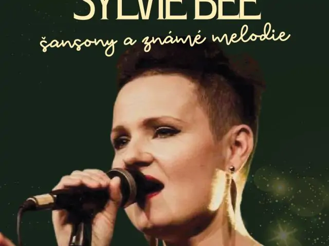 Vánoční koncert Silvie Bee (Doubravané pro budoucnost) - 0 - obr.15_plakát Silvie Bee.jpg